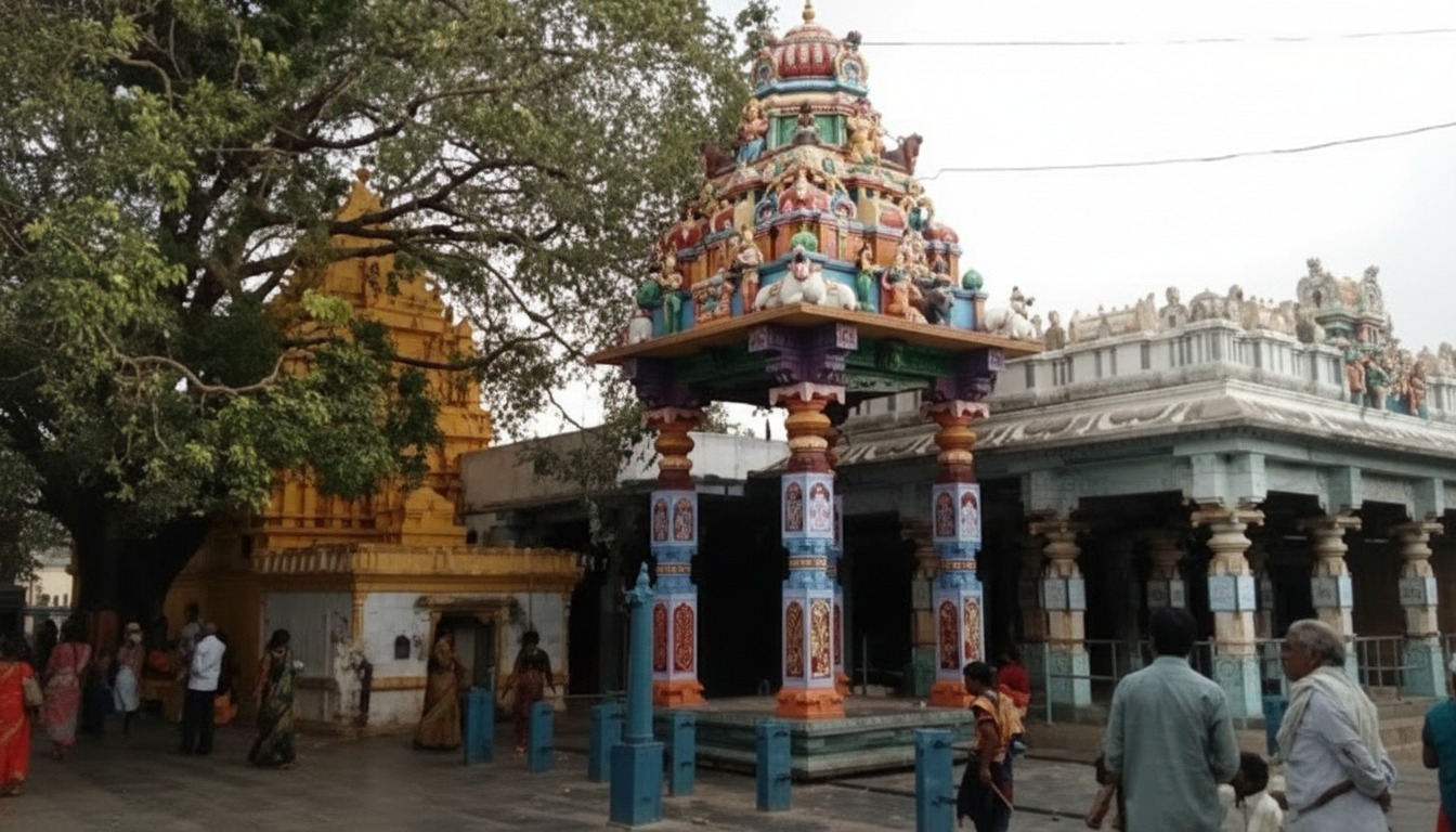 Sri Potuluri Veera Brahmendra Swamy Matam Darshan