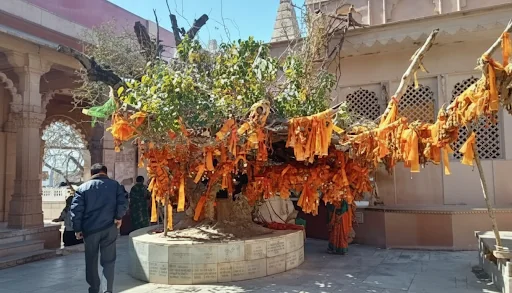 Festivals Celebrated at Gokul (Chaurasi Khamba) Temple